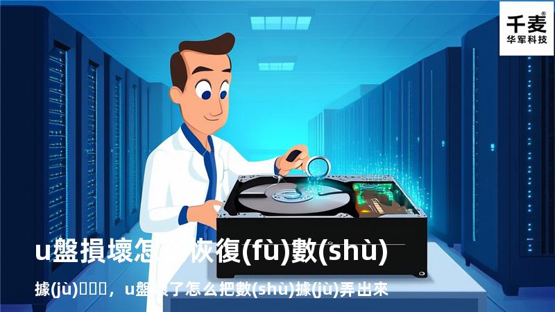 u盤損壞怎么恢復(fù)數(shù)據(jù)，u盤壞了怎么把數(shù)據(jù)弄出來(lái)
